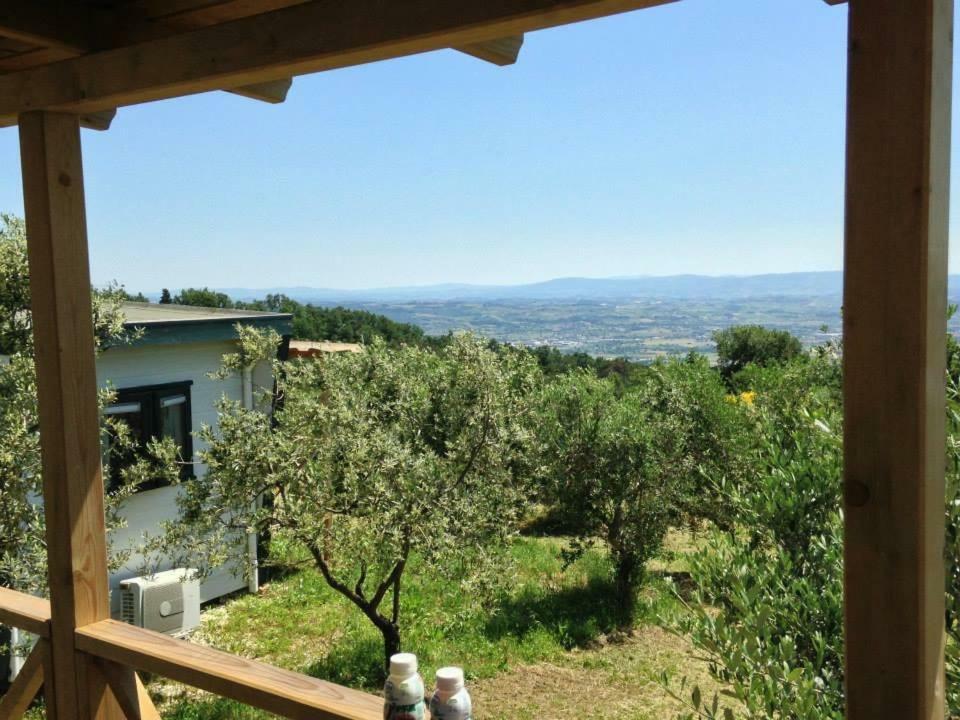 Camping San Giusto San Giusto